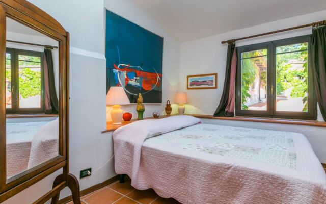 Bardeggiano - Caterina 6 (COL242)