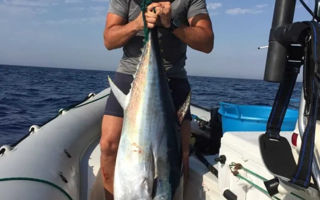 Elimo Affittacamere-Case Vacanze