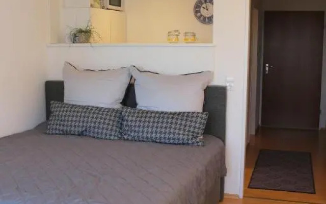 Rosenalm Scheidegg Apartment 256