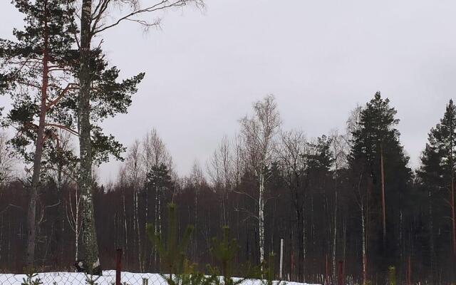 Коттедж рядом с Белоостровом