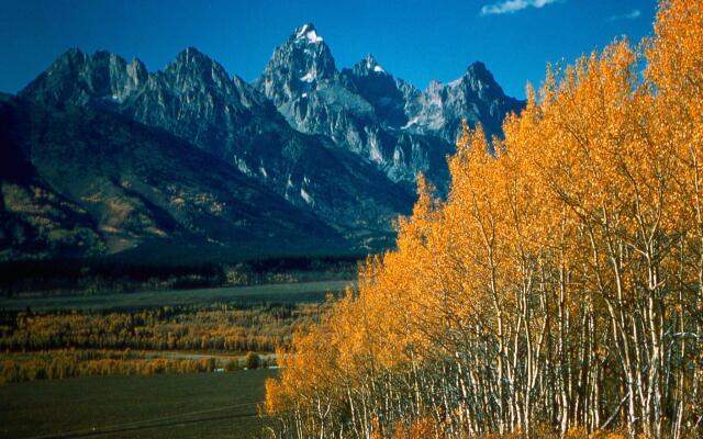 Hampton Inn Jackson Hole