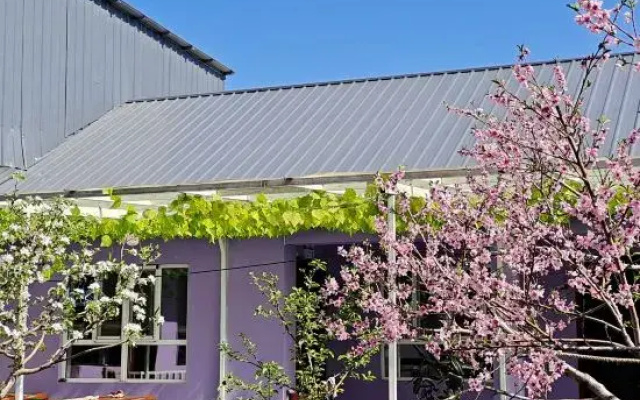 yearn wooden house