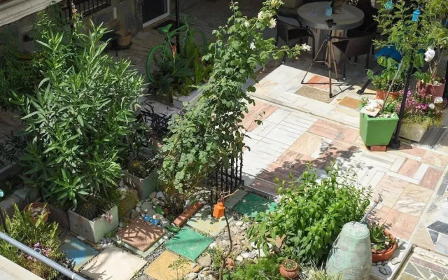Urban Seaside Oasis - Adriana s Garden Paradise