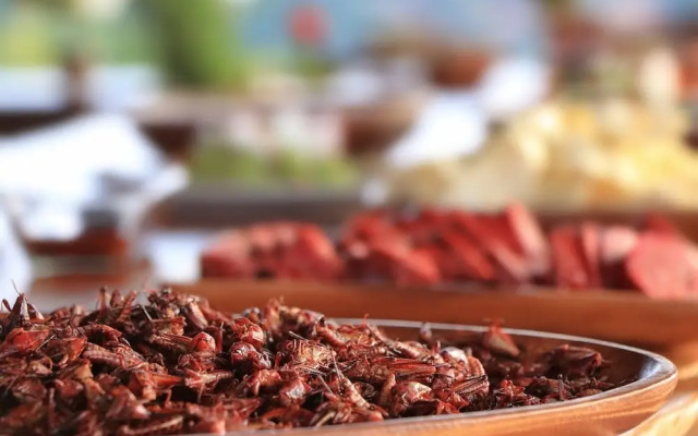 Punta Zicatela Hotel