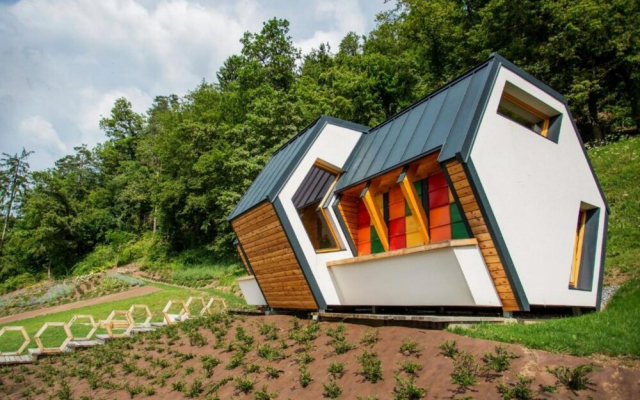 Wellness Suite Viola