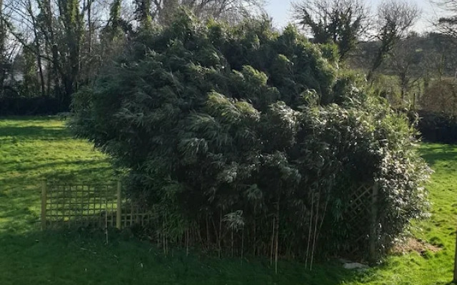 Innis Inn Guest House