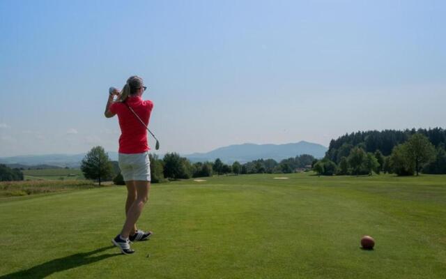 Fewo Schächtelschleif