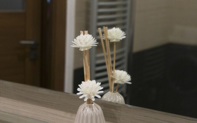 Spacious apartment near Wenceslas Square