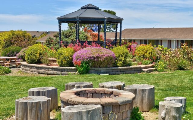Surf Motel and Gardens