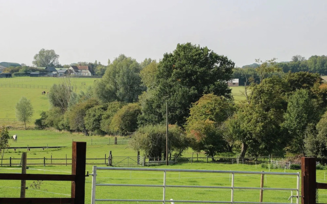 Flink's Barn