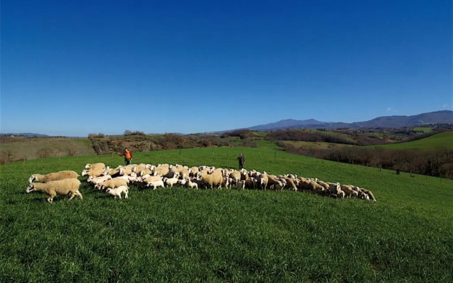 Agriturismo Le Calle