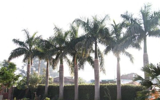 Shani Village Resort