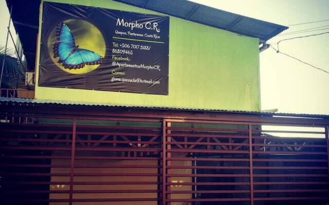Morpho CR 2