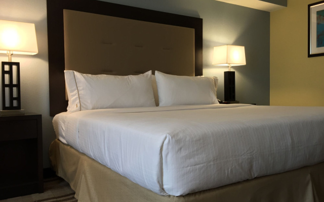 Holiday Inn Express Chicago NW - Arlington Heights by IHG