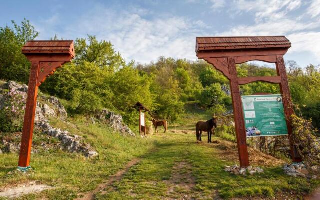 Penzión Skalná ruža - Kövirózsa panzió