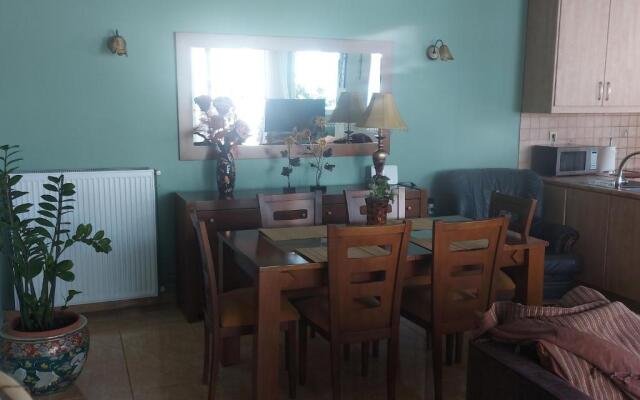 Ulmus Suite