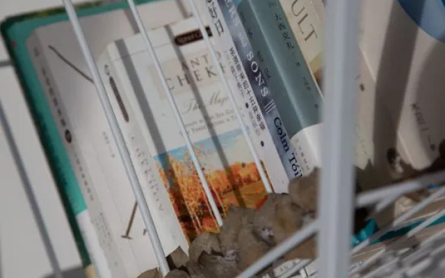 Sanya Lishe Homestay (Haitang Bay Duty Free City)