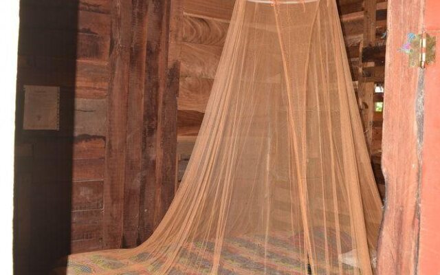 Camping Hostal El Árbol de la Vida