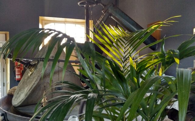 Almazara de San Pedro