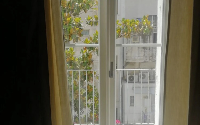 Gatto Bianco Duchessa