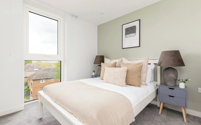 The Woodberry Collection