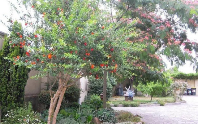Villa Mery