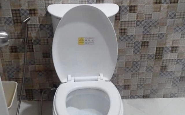 Den's Transient House