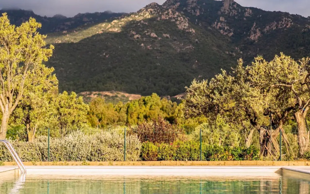 Locanda Della Meridiana - Olivo