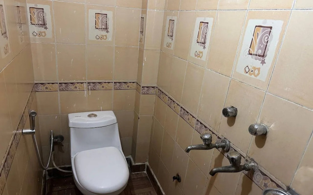 Shree Lodge Near New Delhi Railway Station, Paharganj