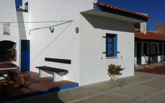 Alentejo Pig dog surf camp