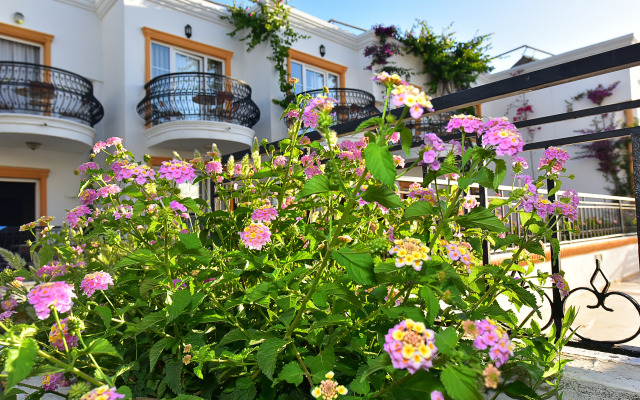 Tropicana Beach Hotel