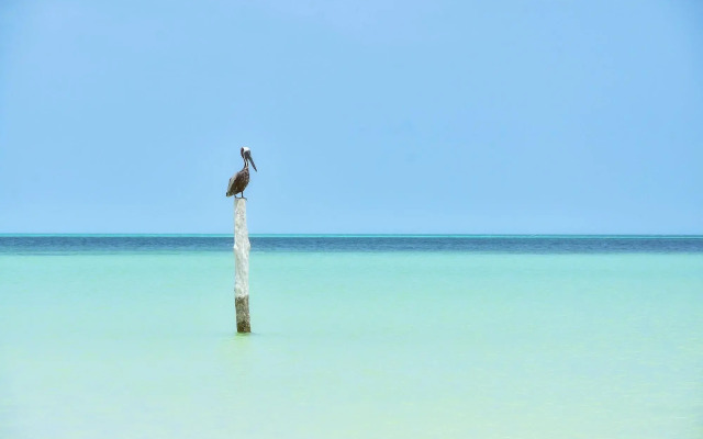 Soho Boutique Holbox - Adults Only