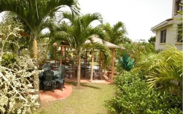 Palm Paradise Guest House and Apartments
