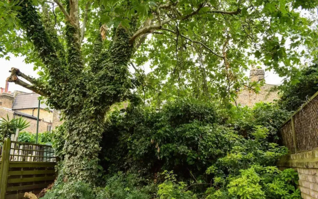 Fantastic 2 Bedroom Shepherds Bush Garden Flat