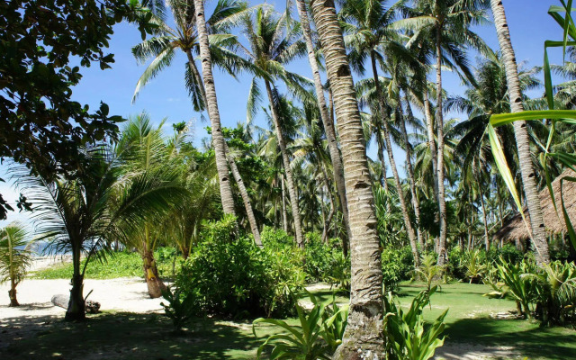 Siargao Inn Beach Resort