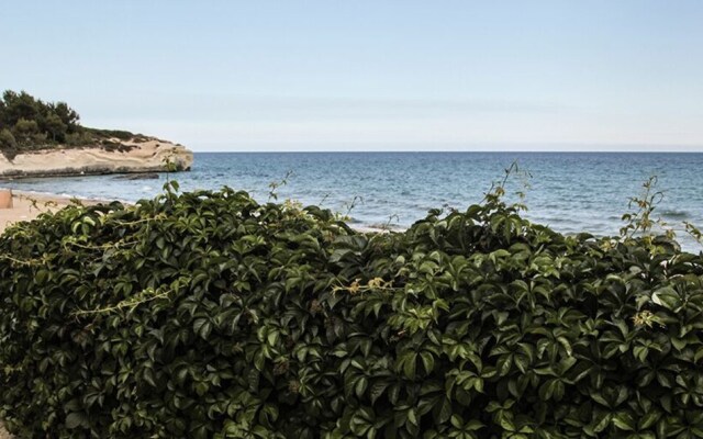 Casa la conchiglia sulla spiaggia