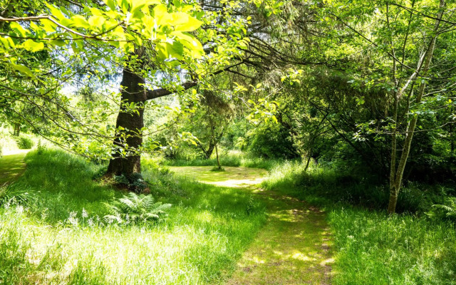 Ta Mill Holiday Cottages & Lodges - Forge Cottage