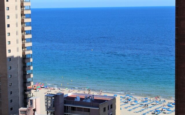 Los caballos Premiun