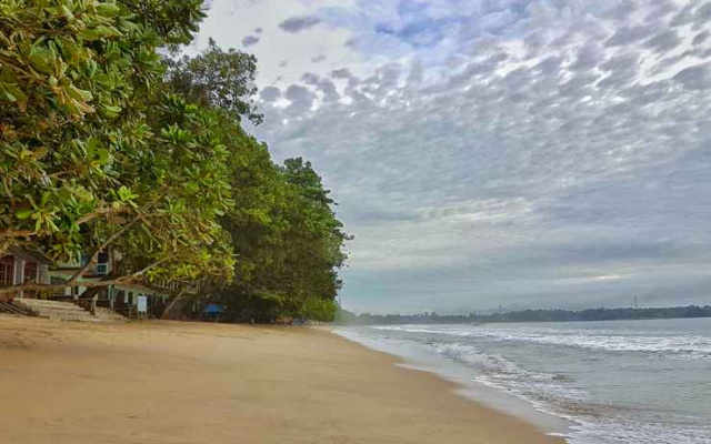 Carita Anyer