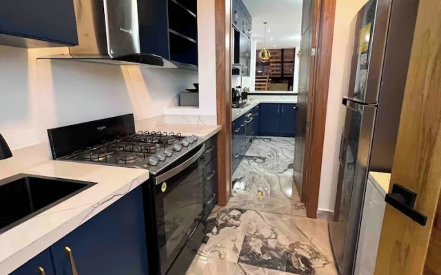 Elegant, Modern Style Villa in Playa Nueva Romana2