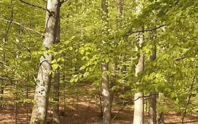 Time out Modern Retreat