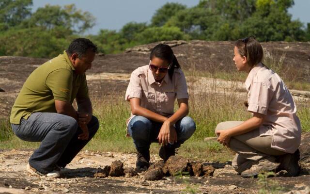 Big Game - Udawalawe by Eco Team