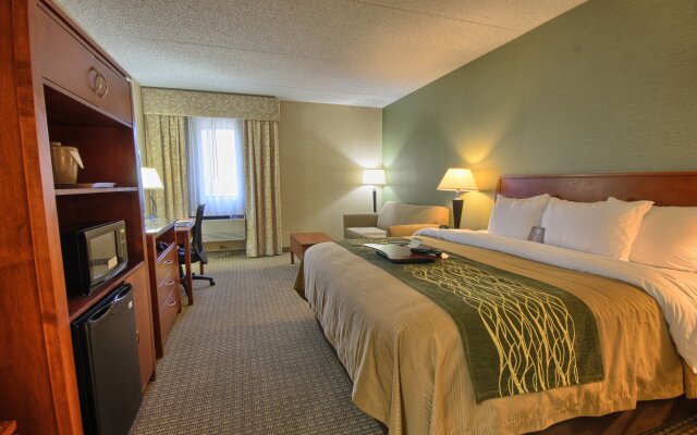 Comfort Inn Near Greenfield Village