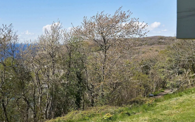 6 Person Holiday Home in Allinge