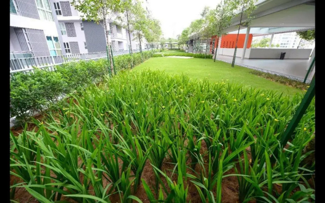 By the sea Duplex penthouse