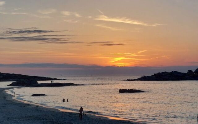 Les Cormorans (TGP101)