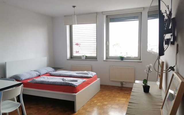 Dunajska Apartment