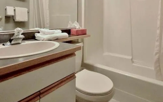 Timberline Lodges - Silver by FLC