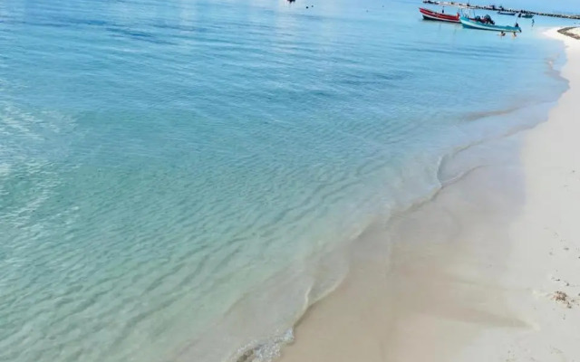 5 albercas Sanitizada Exclusiva Privada