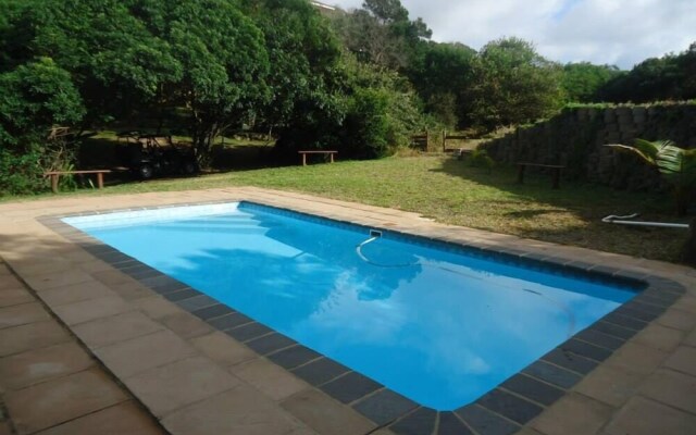 Alfies House